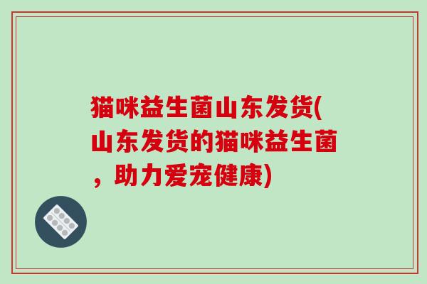 猫咪益生菌山东发货(山东发货的猫咪益生菌，助力爱宠健康)
