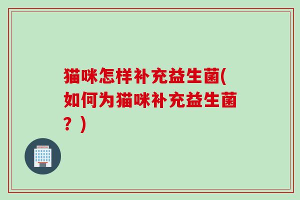 猫咪怎样补充益生菌(如何为猫咪补充益生菌？)