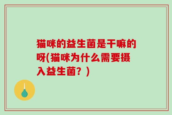 猫咪的益生菌是干嘛的呀(猫咪为什么需要摄入益生菌?) 猫咪的益生菌是干嘛的呀(猫咪为什么需要摄入益生菌?)