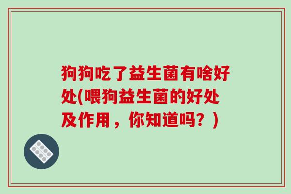 狗狗吃了益生菌有啥好处(喂狗益生菌的好处及作用,你知道吗?) 狗狗吃了益生菌有啥好处(喂狗益生菌的好处及作用,你知道吗?)