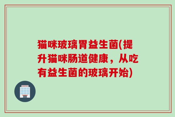 猫咪玻璃胃益生菌(提升猫咪肠道健康，从吃有益生菌的玻璃开始)