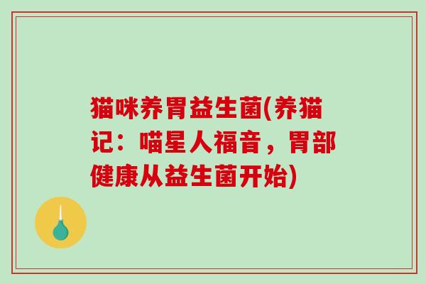 猫咪养胃益生菌(养猫记：喵星人福音，胃部健康从益生菌开始)