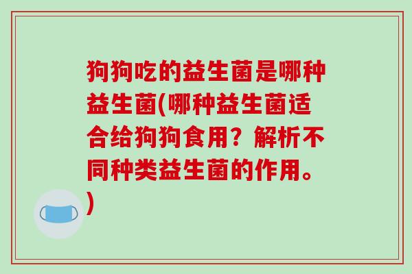 狗狗吃的益生菌是哪种益生菌(哪种益生菌适合给狗狗食用？解析不同种类益生菌的作用。)