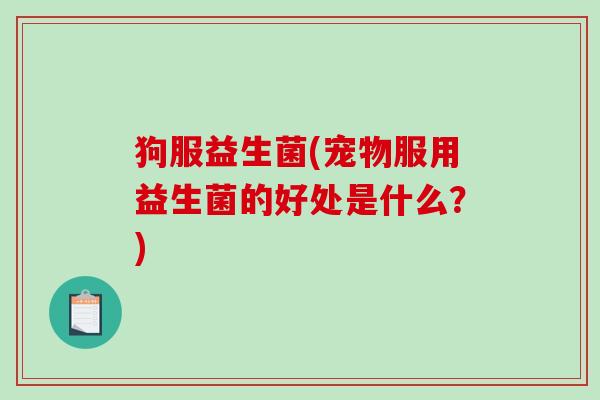 狗服益生菌(宠物服用益生菌的好处是什么？)