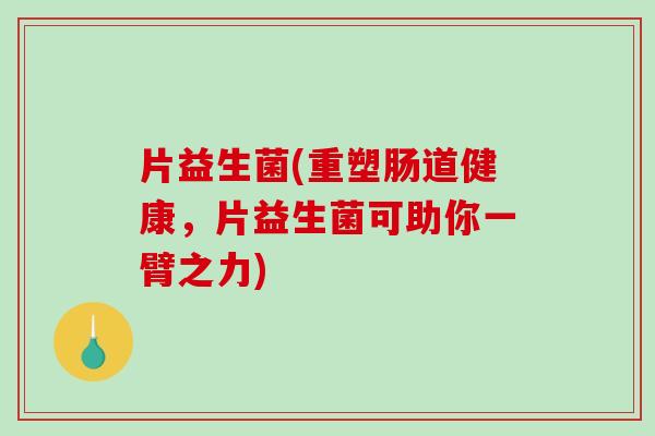 片益生菌(重塑肠道健康，片益生菌可助你一臂之力)