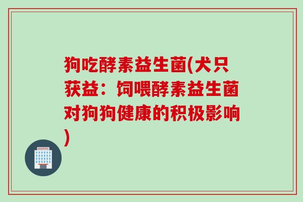 狗吃酵素益生菌(犬只获益：饲喂酵素益生菌对狗狗健康的积极影响)