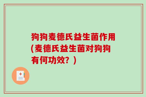 狗狗麦德氏益生菌作用(麦德氏益生菌对狗狗有何功效?) 狗狗麦德氏益生菌作用(麦德氏益生菌对狗狗有何功效?)