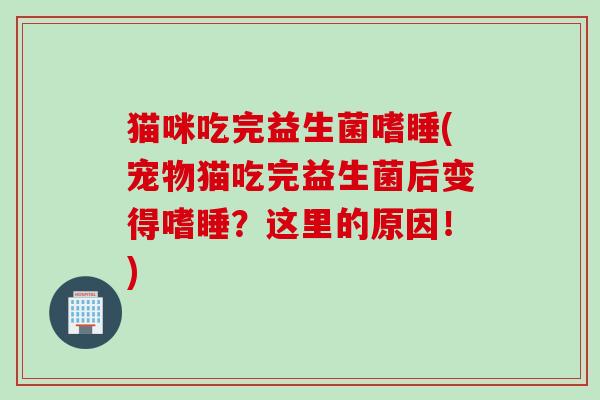 猫咪吃完益生菌嗜睡(宠物猫吃完益生菌后变得嗜睡？这里的原因！)