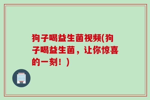 狗子喝益生菌视频(狗子喝益生菌，让你惊喜的一刻！)