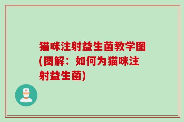 猫咪注射益生菌教学图(图解：如何为猫咪注射益生菌)