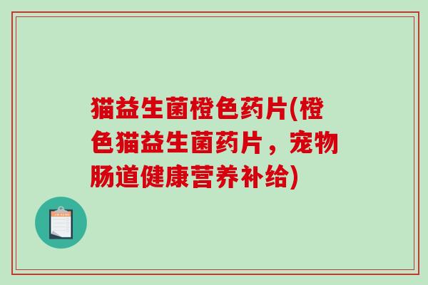 猫益生菌橙色药片(橙色猫益生菌药片，宠物肠道健康营养补给)