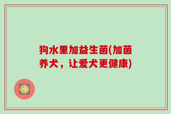 狗水里加益生菌(加菌养犬，让爱犬更健康)