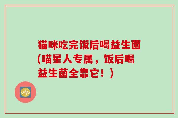 猫咪吃完饭后喝益生菌(喵星人专属，饭后喝益生菌全靠它！)
