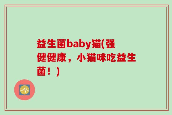 益生菌baby猫(强健健康，小猫咪吃益生菌！)