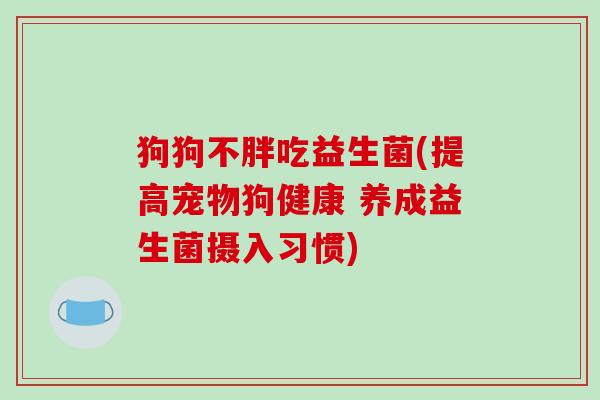 狗狗不胖吃益生菌(提高宠物狗健康 养成益生菌摄入习惯)
