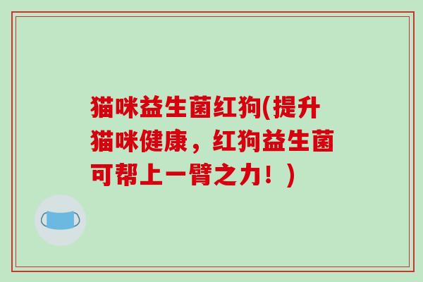 猫咪益生菌红狗(提升猫咪健康,红狗益生菌可帮上一臂之力!) 猫咪益生菌红狗(提升猫咪健康,红狗益生菌可帮上一臂之力!)
