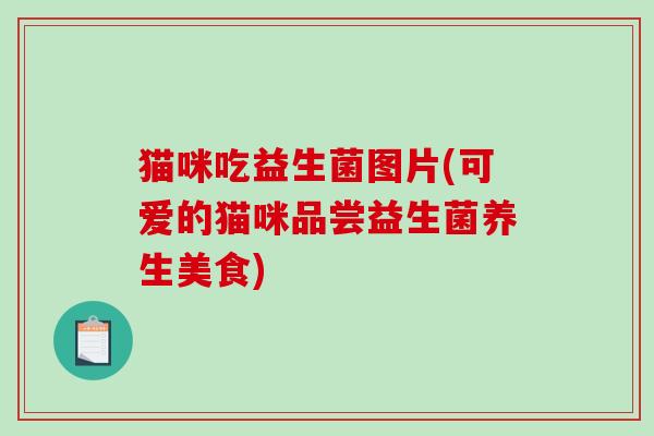 猫咪吃益生菌图片(可爱的猫咪品尝益生菌养生美食)