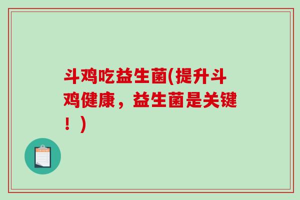 斗鸡吃益生菌(提升斗鸡健康，益生菌是关键！)