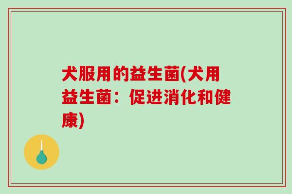 犬服用的益生菌(犬用益生菌：促进消化和健康)