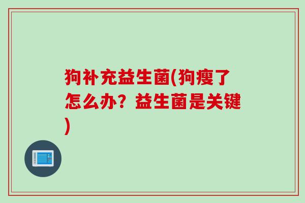 狗补充益生菌(狗瘦了怎么办？益生菌是关键)