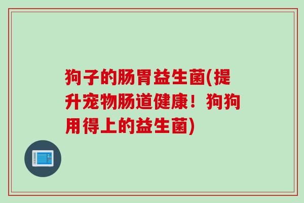 狗子的肠胃益生菌(提升宠物肠道健康！狗狗用得上的益生菌)