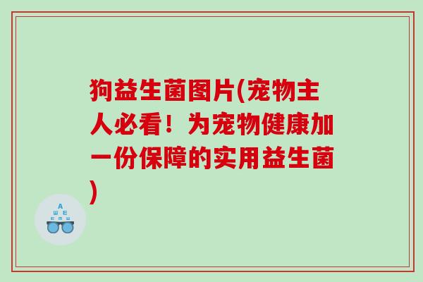 狗益生菌图片(宠物主人必看！为宠物健康加一份保障的实用益生菌)