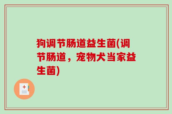 狗调节肠道益生菌(调节肠道，宠物犬当家益生菌)