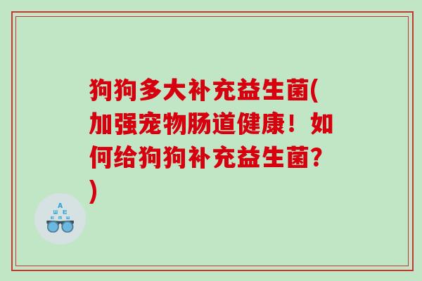 狗狗多大补充益生菌(加强宠物肠道健康！如何给狗狗补充益生菌？)