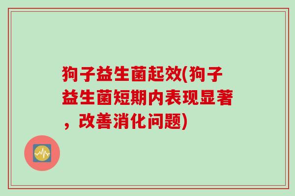 狗子益生菌起效(狗子益生菌短期内表现显著，改善消化问题)