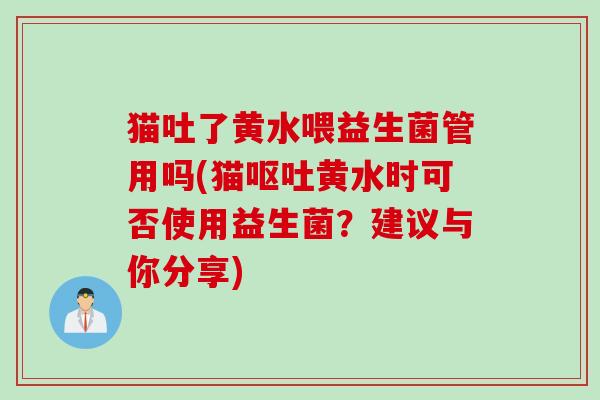 猫吐了黄水喂益生菌管用吗(猫呕吐黄水时可否使用益生菌？建议与你分享)