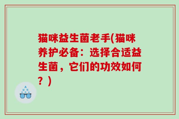 猫咪益生菌老手(猫咪养护必备：选择合适益生菌，它们的功效如何？)