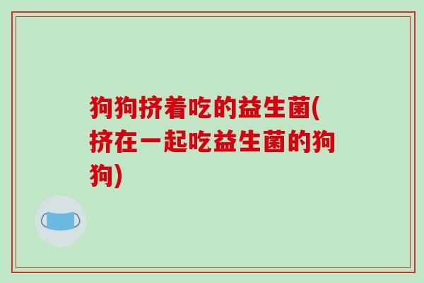 狗狗挤着吃的益生菌(挤在一起吃益生菌的狗狗)