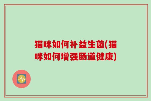 猫咪如何补益生菌(猫咪如何增强肠道健康)