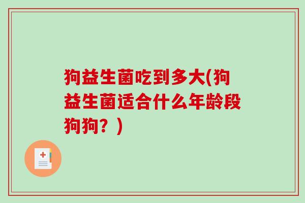 狗益生菌吃到多大(狗益生菌适合什么年龄段狗狗？)