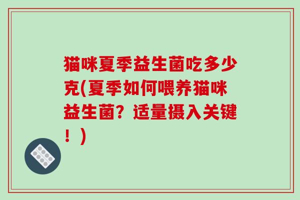 猫咪夏季益生菌吃多少克(夏季如何喂养猫咪益生菌？适量摄入关键！)