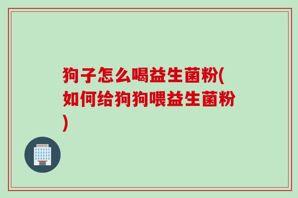 狗子怎么喝益生菌粉(如何给狗狗喂益生菌粉)