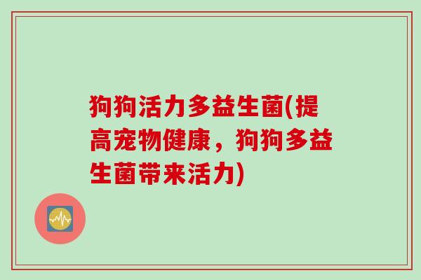 狗狗活力多益生菌(提高宠物健康，狗狗多益生菌带来活力)