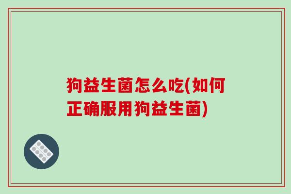 狗益生菌怎么吃(如何正确服用狗益生菌)