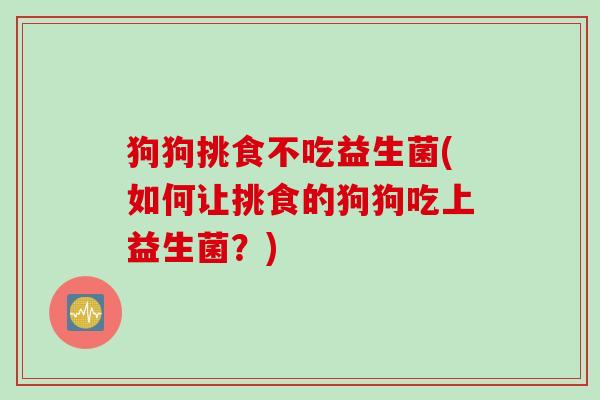 狗狗挑食不吃益生菌(如何让挑食的狗狗吃上益生菌？)