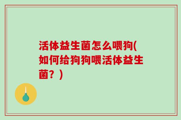活体益生菌怎么喂狗(如何给狗狗喂活体益生菌？)