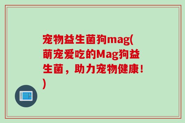 宠物益生菌狗mag(萌宠爱吃的Mag狗益生菌，助力宠物健康！)