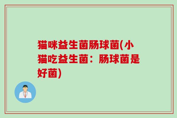 猫咪益生菌肠球菌(小猫吃益生菌：肠球菌是好菌)