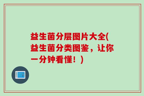益生菌分层图片大全(益生菌分类图鉴，让你一分钟看懂！)