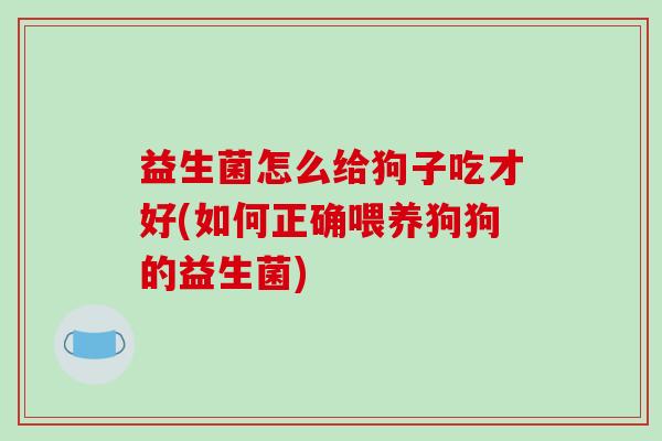 益生菌怎么给狗子吃才好(如何正确喂养狗狗的益生菌)