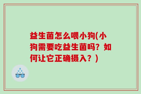 益生菌怎么喂小狗(小狗需要吃益生菌吗？如何让它正确摄入？)