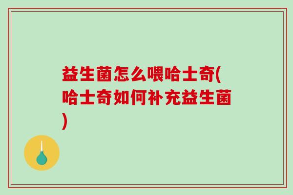 益生菌怎么喂哈士奇(哈士奇如何补充益生菌)
