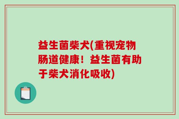 益生菌柴犬(重视宠物肠道健康！益生菌有助于柴犬消化吸收)