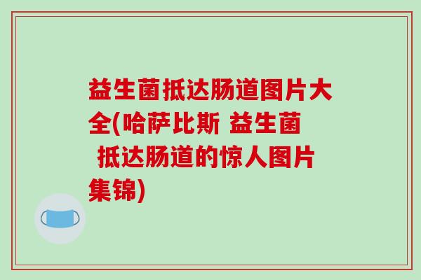 益生菌抵达肠道图片大全(哈萨比斯 益生菌 抵达肠道的惊人图片集锦)