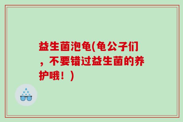 益生菌泡龟(龟公子们，不要错过益生菌的养护哦！)