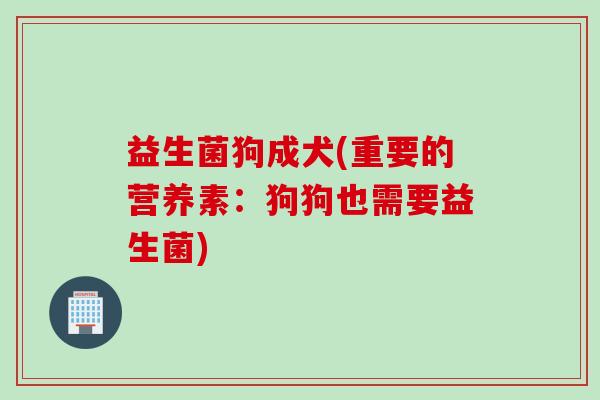 益生菌狗成犬(重要的营养素：狗狗也需要益生菌)